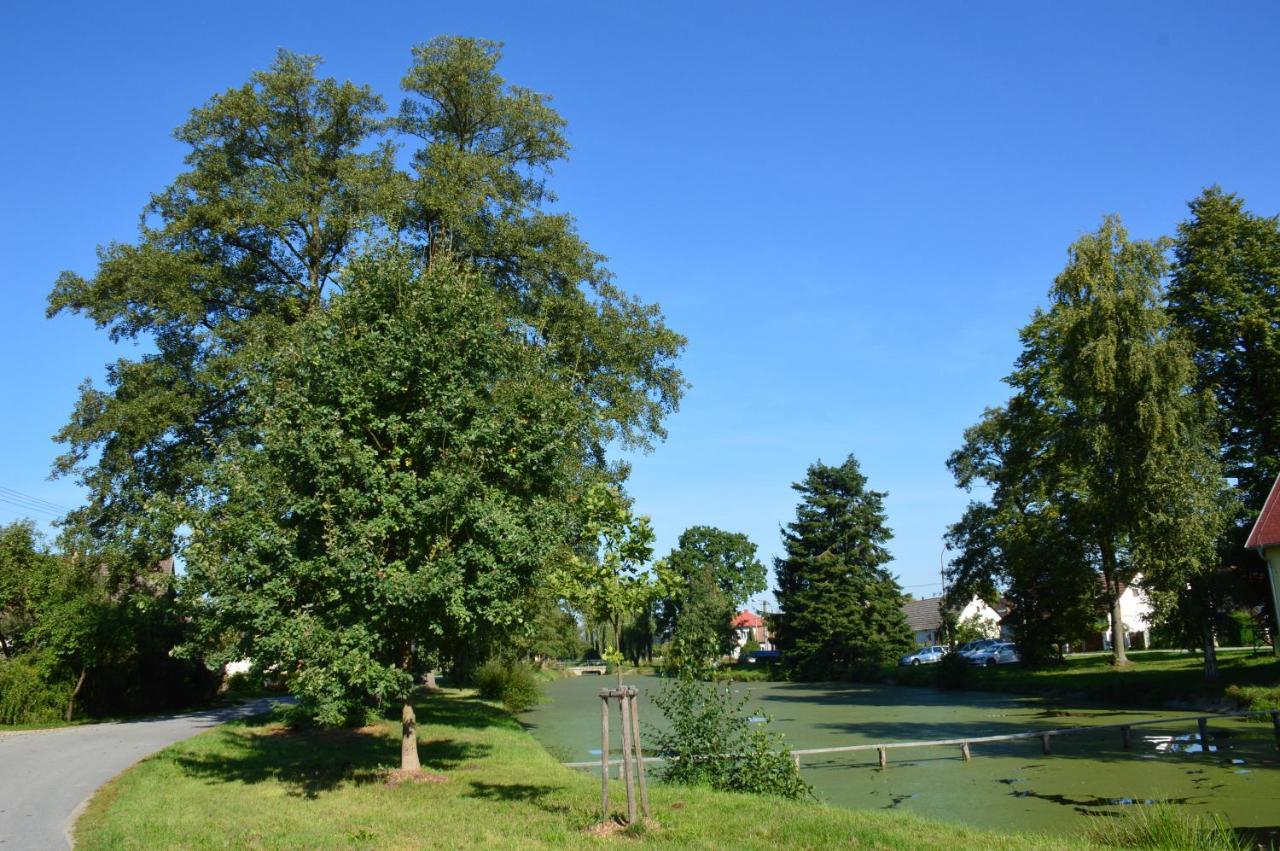 Penzion U podkováře Třeboň Exterior foto